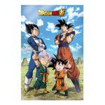 Dragon Ball Super Family Poster 3D - 58x38cm