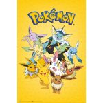 Pokemon Eevee Evolution Poster 61x91cm