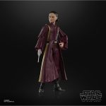 Star Wars The Black Series The Phantom Menace Padme Amidala Hasbro Figure