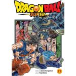 Dragon Ball Super Vol. 13