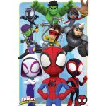 Spidey & His Amazing Friends Goodies and Baddies Poster 61x91cm