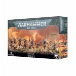 Warhammer 40,000 Drukhari Whyches (45-08)