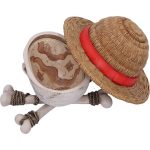One Piece Luffy Jolly Roger Box