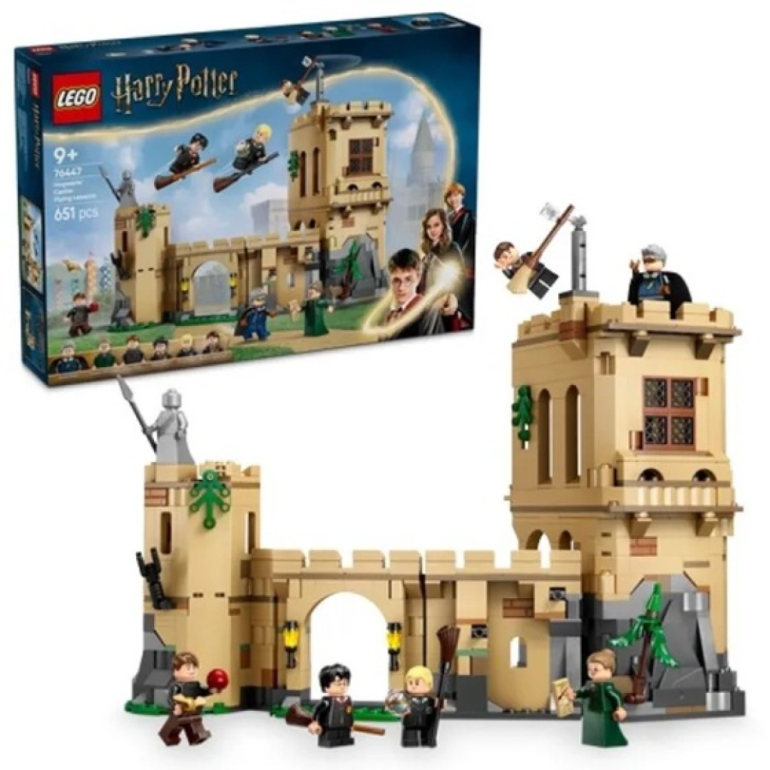 776ad50d0917525e9e4071d2d1343d87.jpg LEGO Harry Potter 76447 Hogwarts Castle Flying Lessons - Image 1