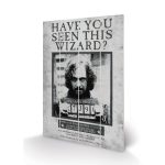 Harry Potter Sirius Wanted Printing On Wood 40x59cm