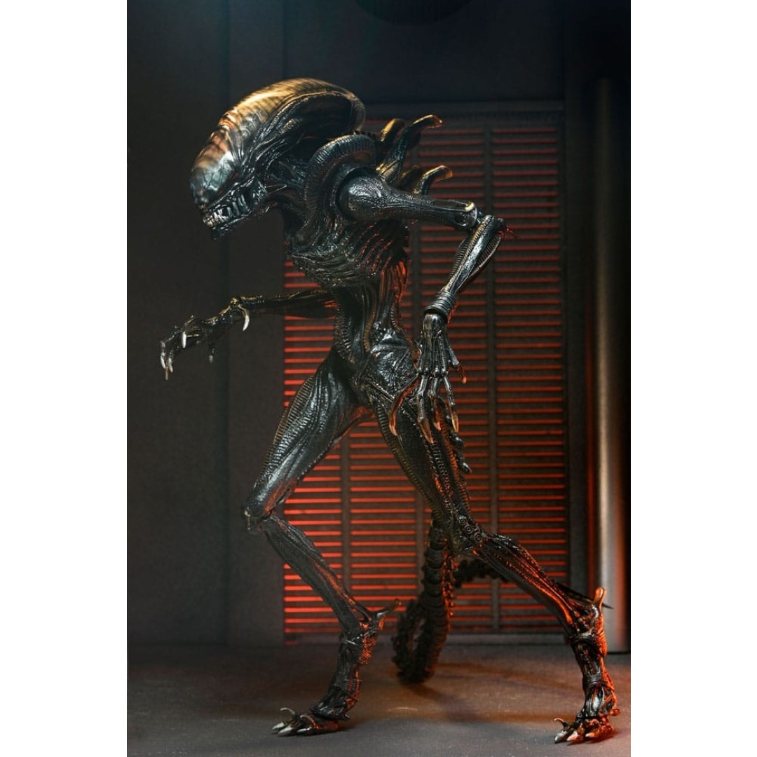 82a9094f6ac86ce65c5aa9957695cd6a-1.jpg Alien Romulus Scorched Xenomorph Ultimate Neca Figure - Image 1