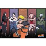 Naruto & Allies Poster 91x61cm