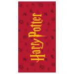 Harry Potter Beach Towel
