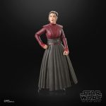 Star Wars The Black Series Ahsoka Morgan Elsbeth Hasbro Figure