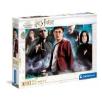 Harry Potter with Voldemort Puzzle 1000 Pieces