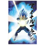 Dragon Ball Super Survival Vegeta Poster 3D - 58x38cm