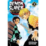 Demon Slayer - Kimetsu no Yaiba Vol. 3