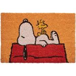 Snoopy Peanuts Door Mat