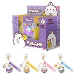 Molan Weather Series Random Keychain