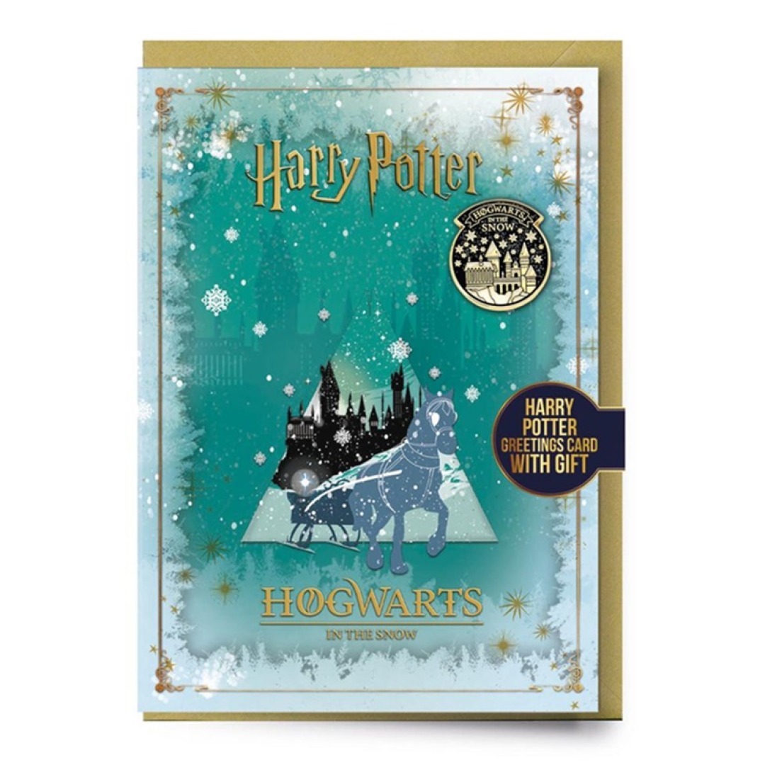 9af5e96acb2bb34de04e219aa3a9c951.jpg Harry Potter Hogwarts In The Snow Greeting Card with Pin - Image 1