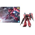 Gundam Gunner Zaku Warrior Lunamaria Hawke Custom MG Bandai Model Kit