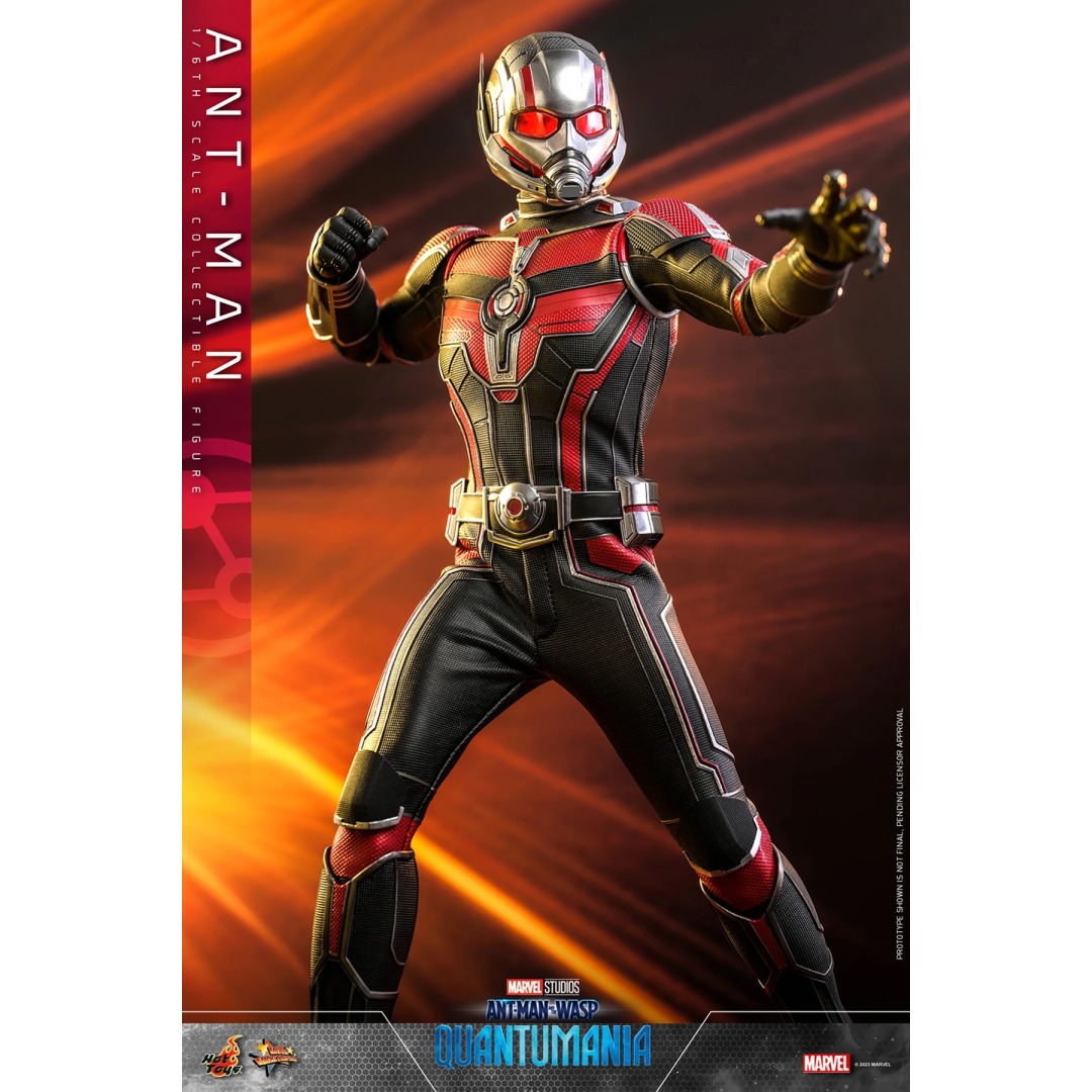 9efbb5d9dbcea8306a23926b6af2f008.jpg Marvel Ant-Man Wasp Quantumania Sixth Scale Hot Toys Figure - Image 1