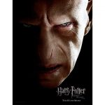 Harry Potter Voldemort Face Glass Print 30x40cm