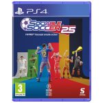 PS4 Sociable Soccer 25