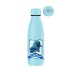 Harry Potter Ravenclaw Insulated Bottle 350ml