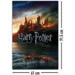 Harry Potter & The Deathly Hallows Poster 61x91cm
