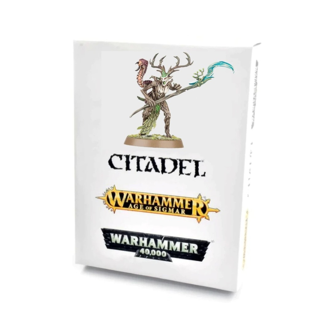 b5598a5fb5fac9d8a90c72198fd9efa6.jpg Warhammer Age Of Sigmar Sylvaneth Branchwych - Image 1