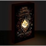 Harry Potter Marauders Map Light Canvas 40x30cm