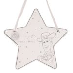 Disney Toy Story Woody Ceramic Decorative Plaque