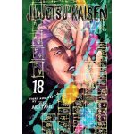 Jujutsu Kaisen Vol. 18