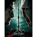 Harry Potter vs Voldemort Glass Print 30x40cm