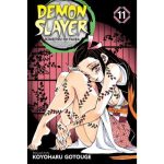 Demon Slayer - Kimetsu No Yaiba Vol. 11