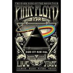 Pink Floyd 1973 Poster 61x91cm