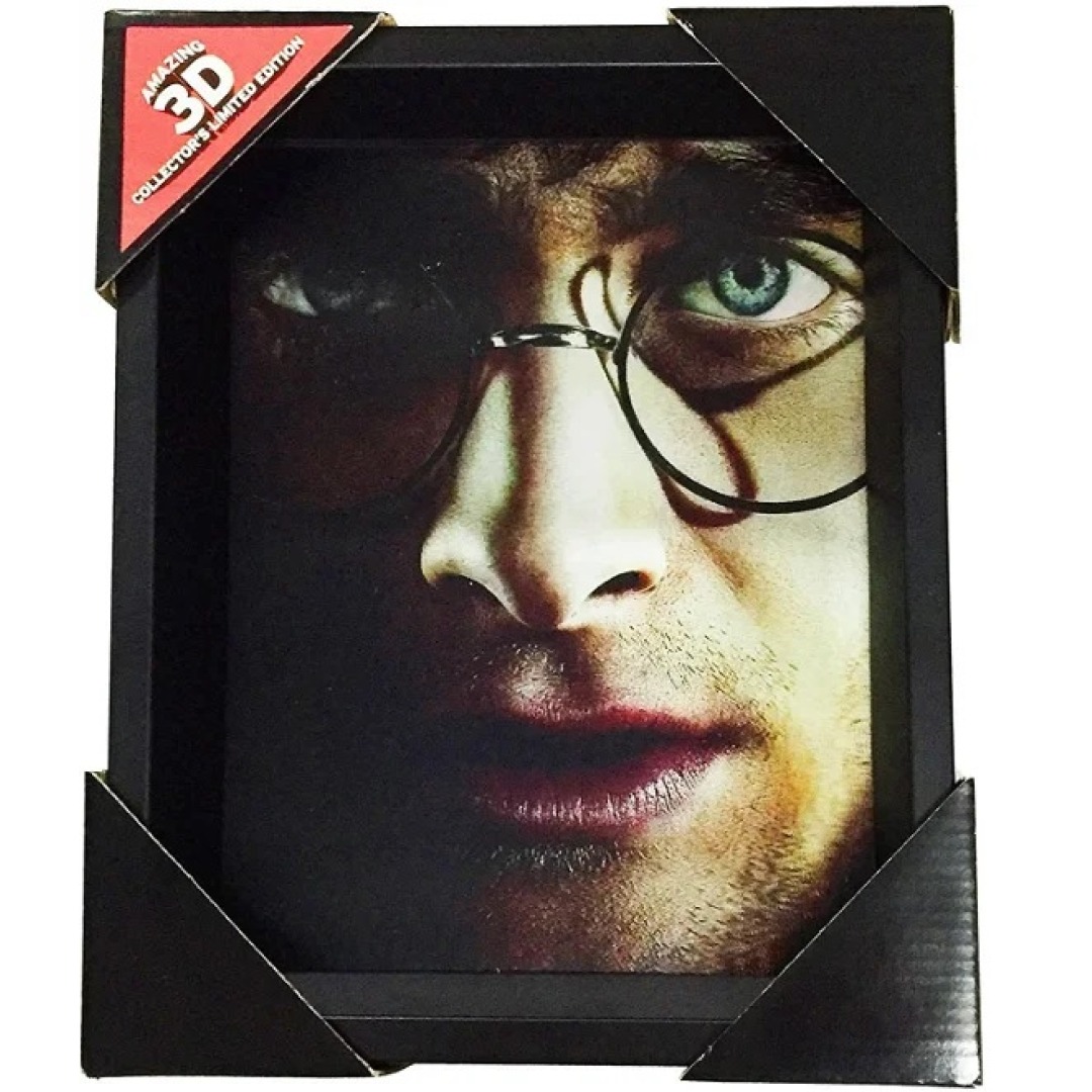 d8df0eb6f463e52e276a4f3b06503b18.jpg Harry Potter 3D Lenticular Framed Picture - Image 1