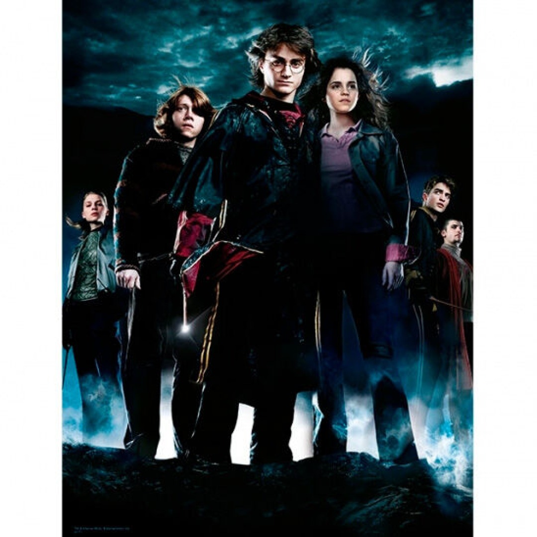 e377c2c5a9d76f0ec6c746017570d3b5.jpg Harry Potter Group HP4 Glass Print 30x40cm - Image 1