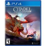 PS4 Citadel-Forged with Fire