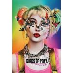 DC Birds Of Prey One Sheet Poster 61x91cm