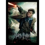 Harry Potter Deathly Hollows Part 2 Wand Collector Print 30x40cm