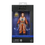 Star Wars The Mandalorian & Grogu Colonel Ward Black Series Hasbro Figure