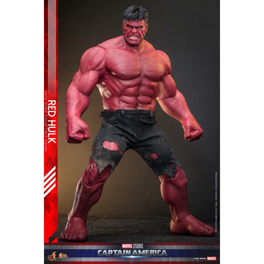 84b89b12910f6629805a07dfa130d9df.jpg Marvel Captain America Brave New World Sixth Scale Hot Toys Figure - Image 1