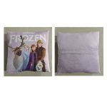 Disney Frozen Cushion