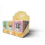 Forever Flowers Bricks Succulent Random