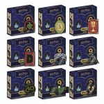 Harry Potter Mystery Pin
